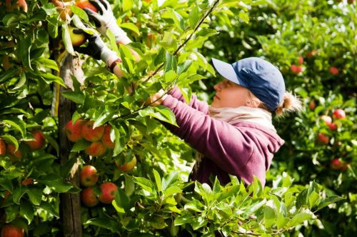 Tuin Gadgets: Mooier, makkelijker & leuker