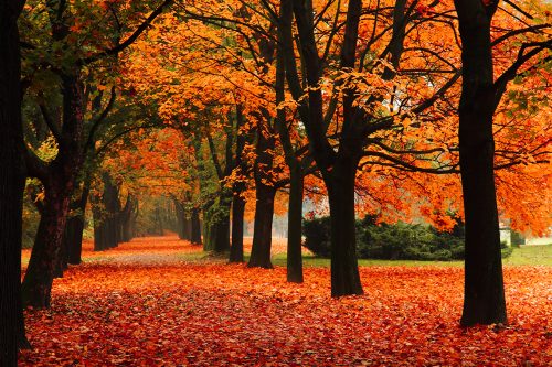 Herfst! Daar word je toch gelukkig van?